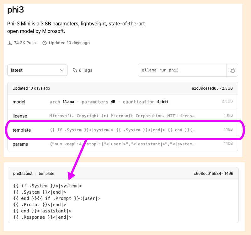 The model template in a model card
